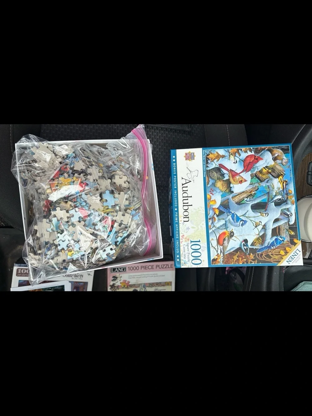 Audubon 1000-Piece Jigsaw Puzzle - Snow Birds - Multicolor